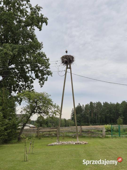 siedlisko na Podlasiu Majewo