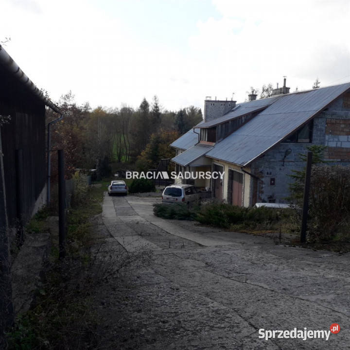 Sprzedam grunt Maciejowice 11100 metrów Sprzedaż