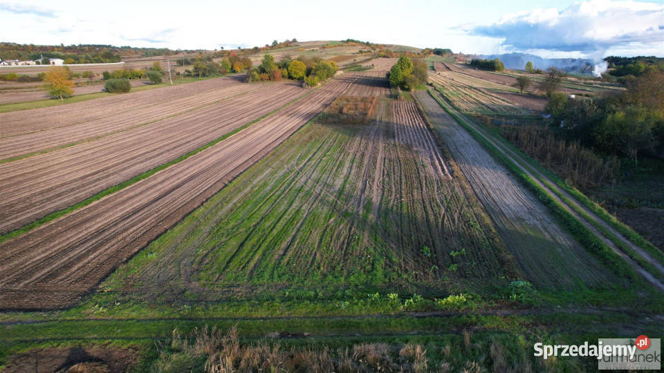 Sprzedam działka 4011m2 Lipowiec 4011m2 Sprzedaż