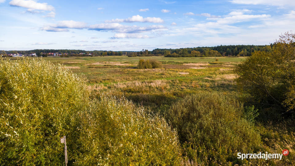 Działka 965 m z widokiem projekt domu w Biłgoraj Sprzedaż lubelskie