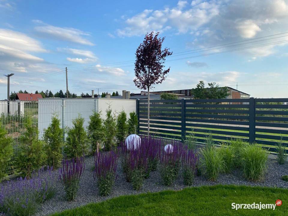 Usługi ogrodnicze Bydgoszcz
