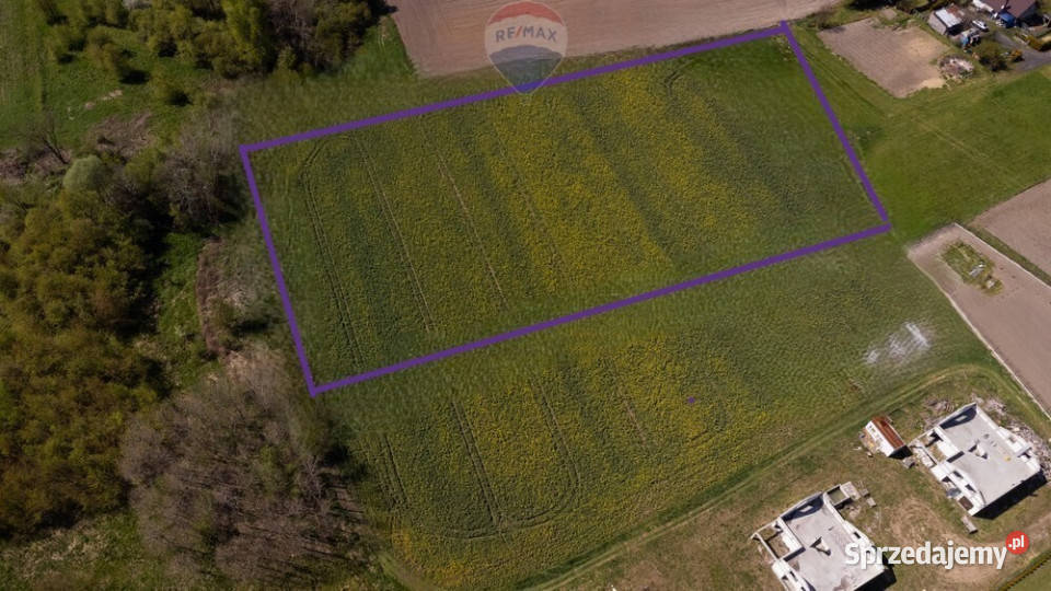 DZIAŁKA BUDOWLANA CZARKÓW KPSZCZYNY polna śląskie