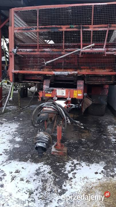 Rozrzutnik Annaburger wielkopolskie Rostarzewo