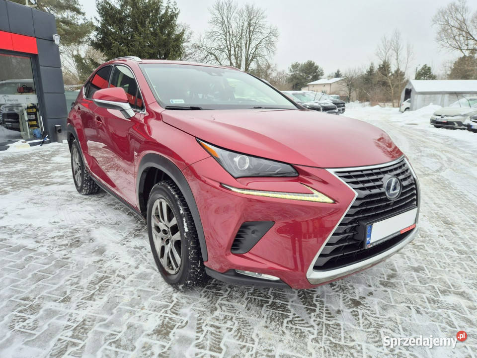Lexus NX Bezwypadkowy I 20142021 podgrzewane fotele Konstancin-Jeziorna