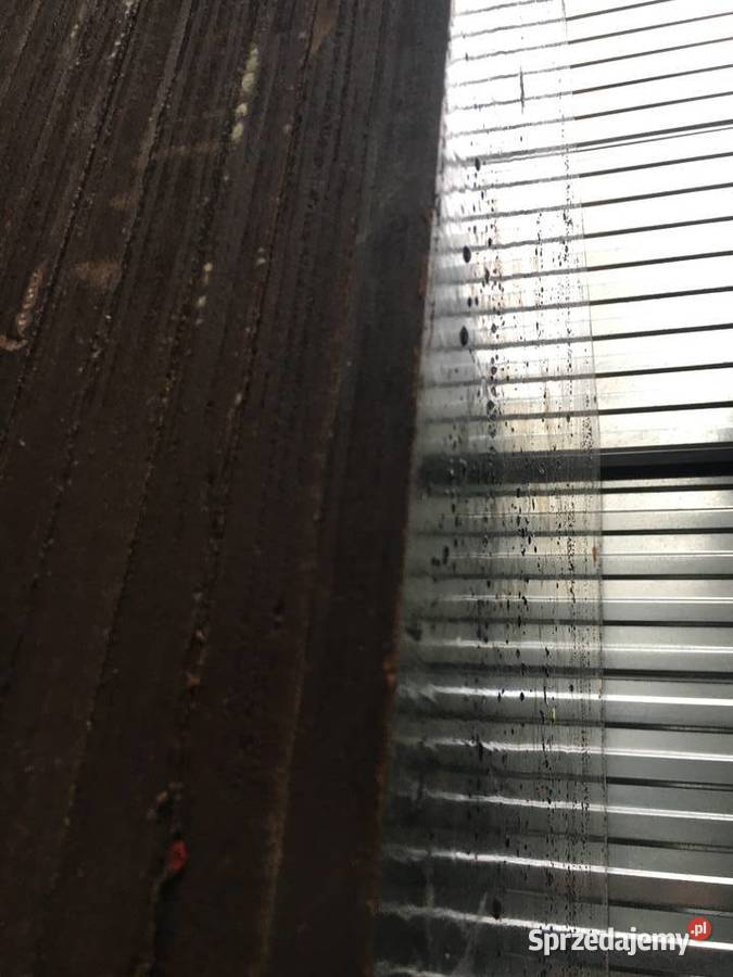 Sklejka topolowa 21mm szalunki sklejka Ostrowiec Świętokrzyski