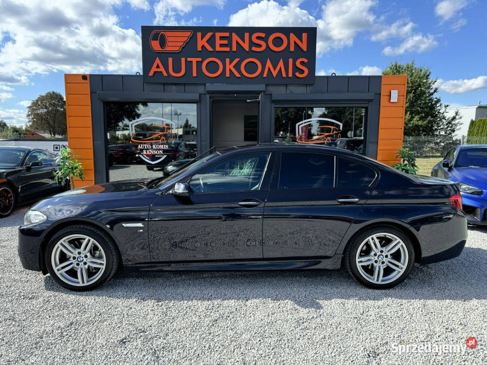 BMW 525 LED Klima Navi Temp Podgrzewane Fotele przyciemniane szyby