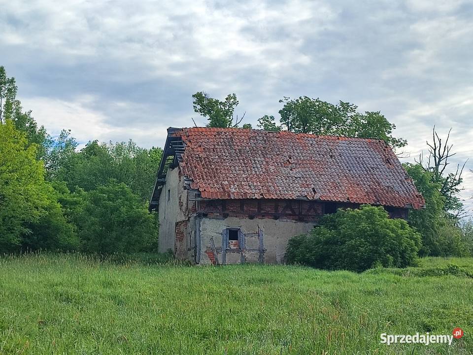 Siedlisko niedaleko BISZTYNKA 5500 m2 TANIO Grzęda