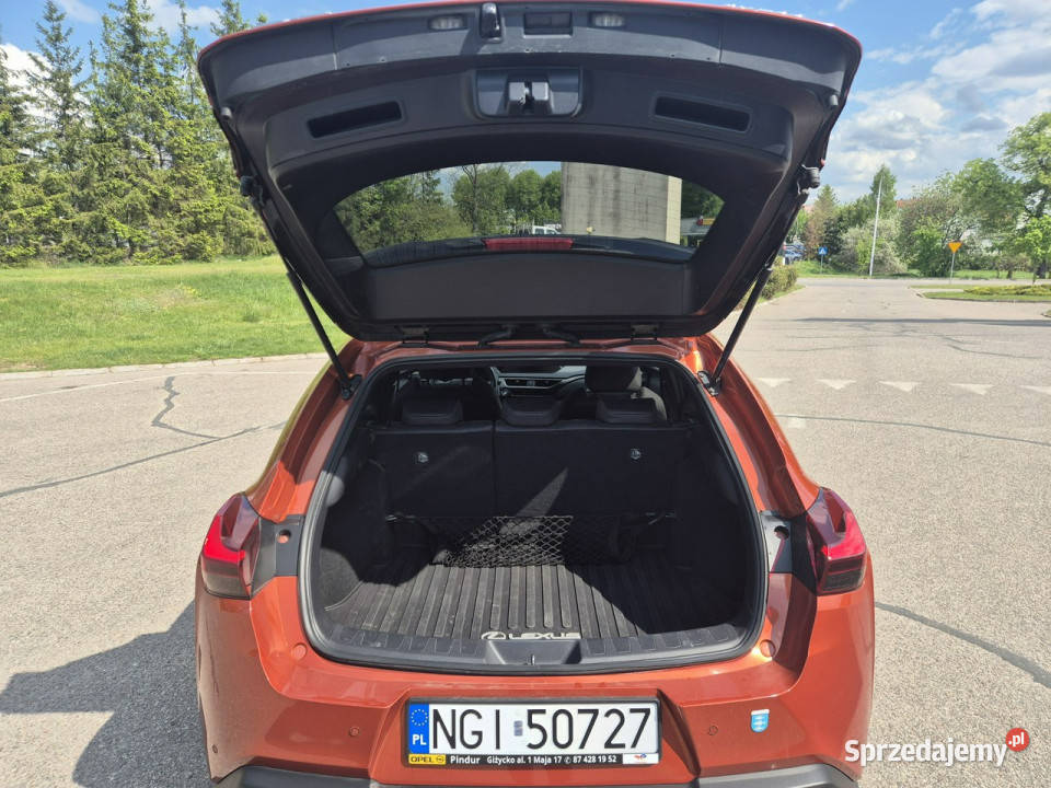 Lexus UX światła do jazdy dziennej