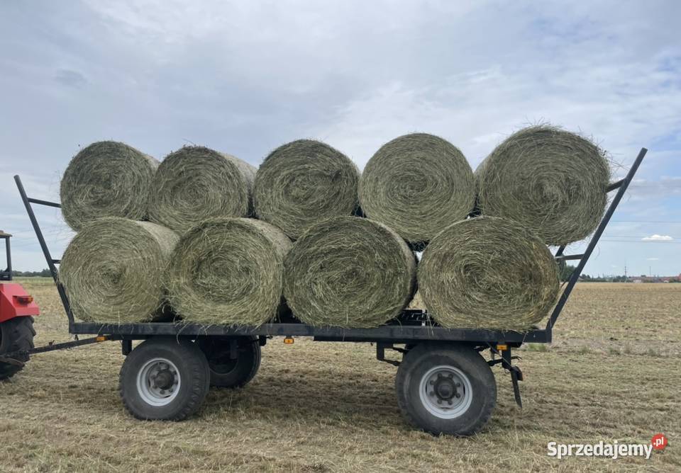Sianosianokiszonka baloty ze stodoły transport Krotoszyn sprzedam