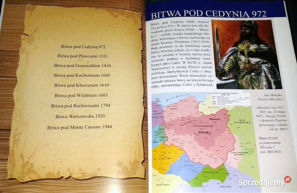 Zwycięskie bitwy Polaków red A Rok wydania 2019