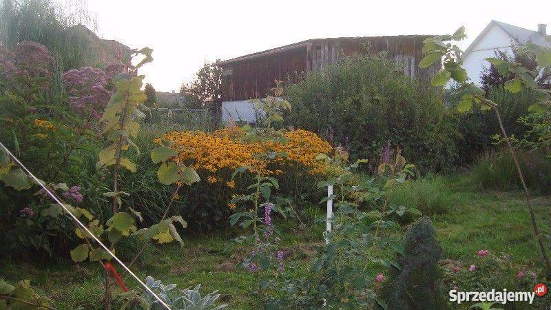 Działka budowlaną 28a Kokotów gmWieliczka Nieruchomości małopolskie