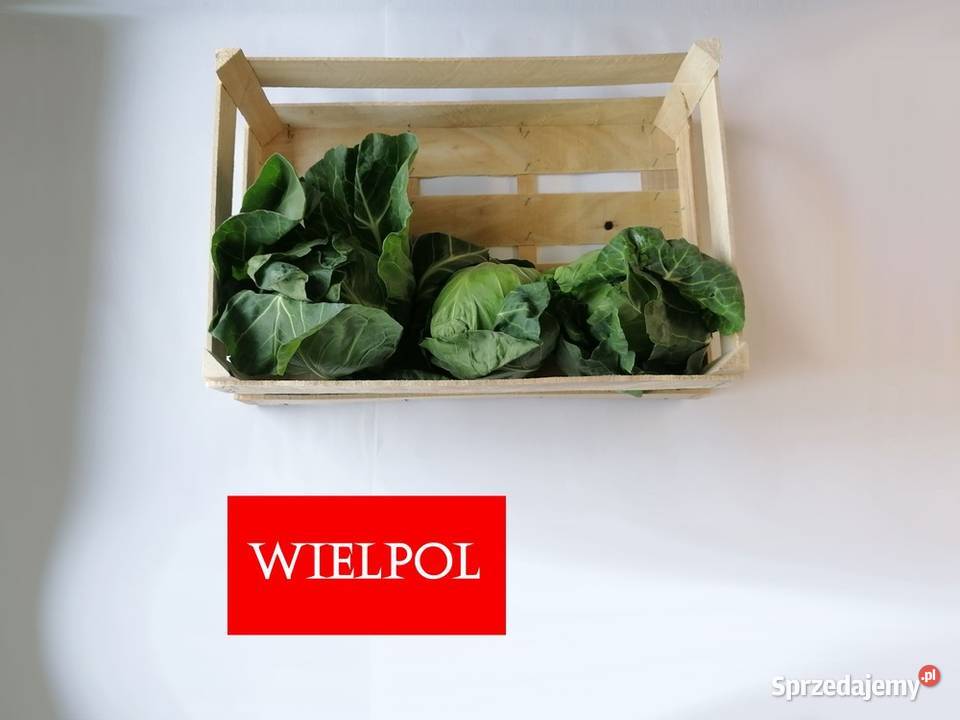 Skrzynki drewniane do kapusty Skrzynki z