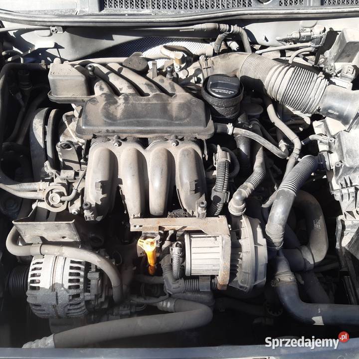 Audi A3 5d lift 16 całość części Biała Podlaska sprzedam