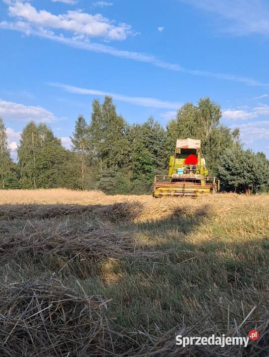 Class Mercator sieczkarnia Niepołomice