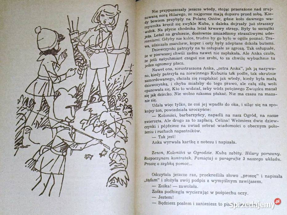 Awantura w Niekłaju Edmund Niziurski Chełm