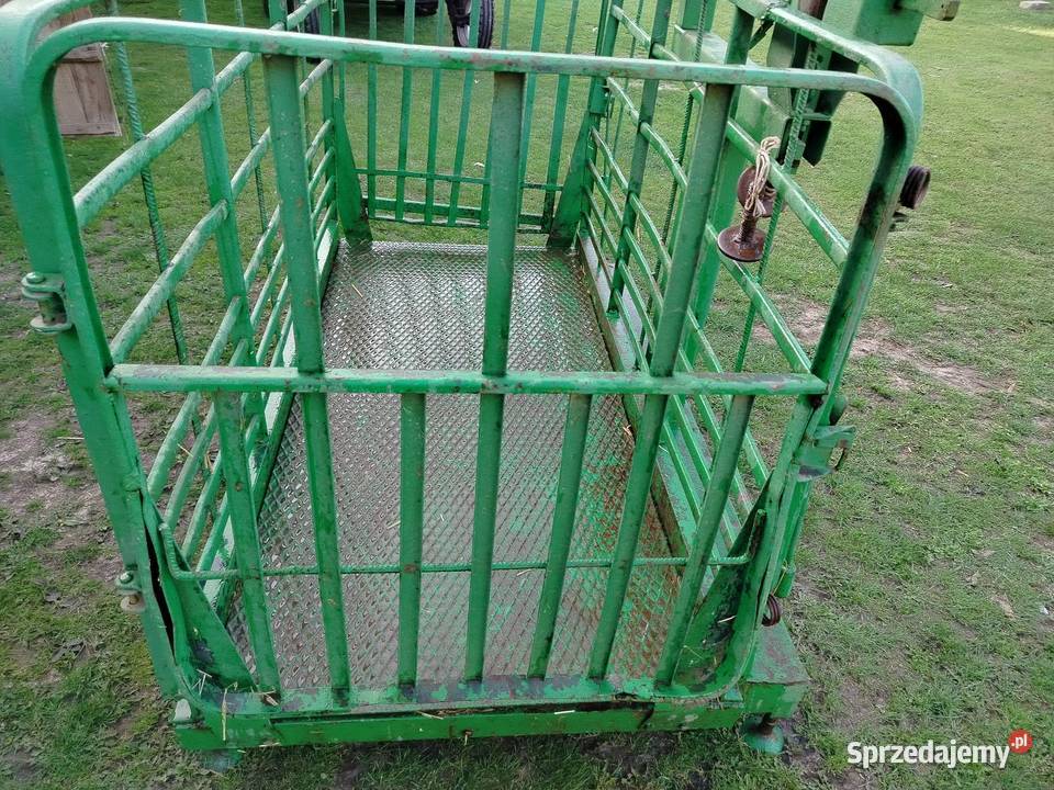 Waga bydła 1000 Bolów