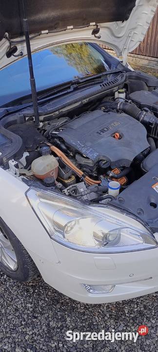 Peugeot 508 Biała perła Hybryda 163Skóra zadbany Nadrybie Ukazowe