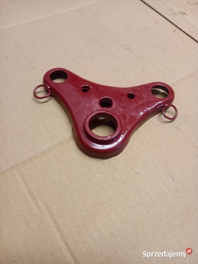 Polka zak rys Sokołów Podlaski