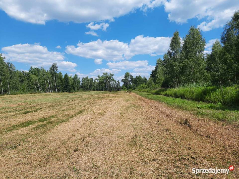 Sprzedam dwie działki Wołomina 34 ha Cięciwa rolna Wołomin