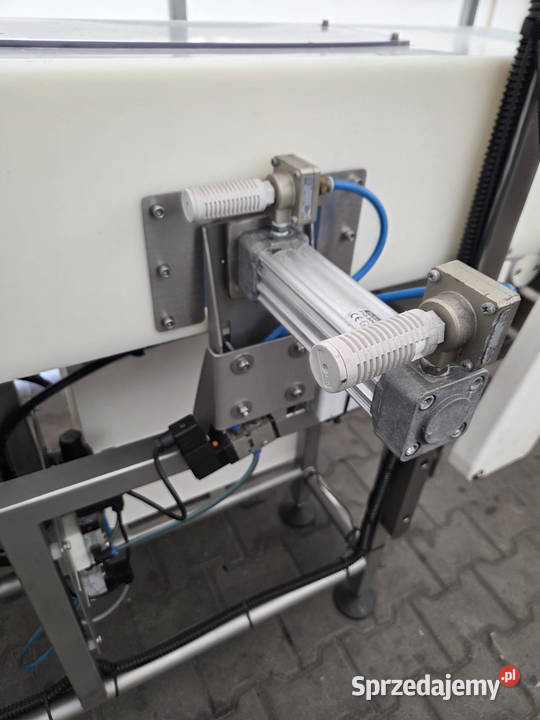 SAFELINE R Series Profile Detektor metali z Krotoszyn