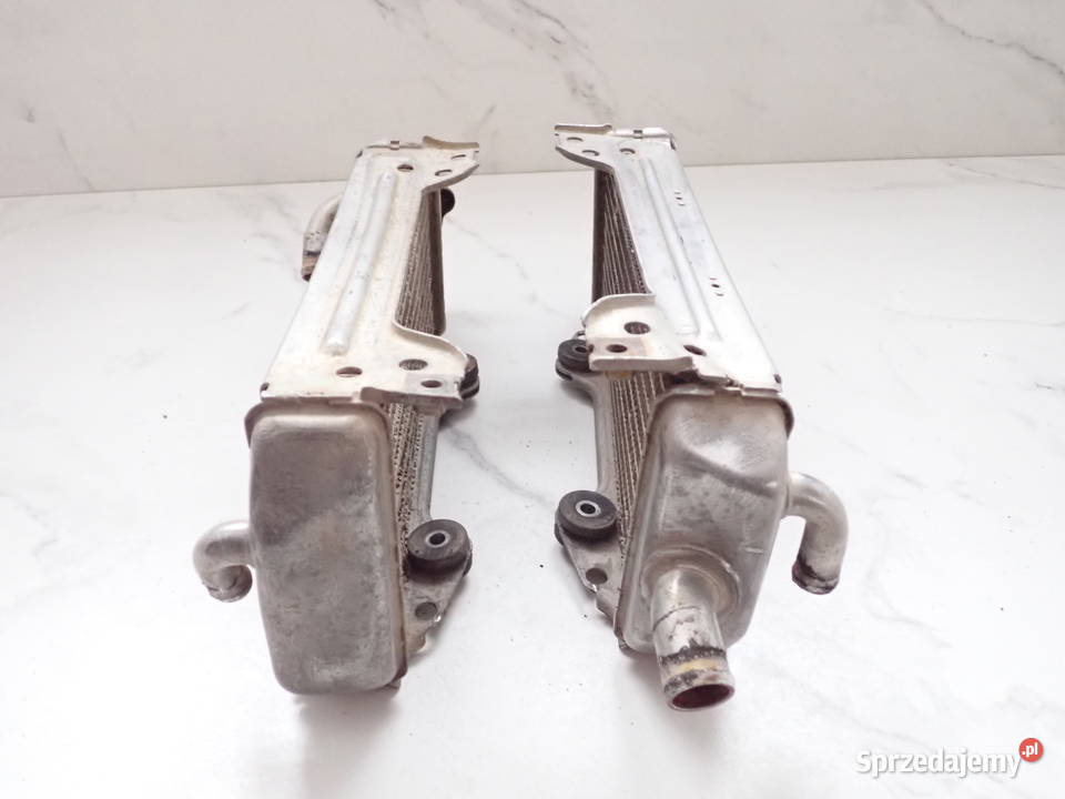Dwie Chłodnice prawa Lewa Suzuki RM 250 9600r Strzelce Krajeńskie sprzedam