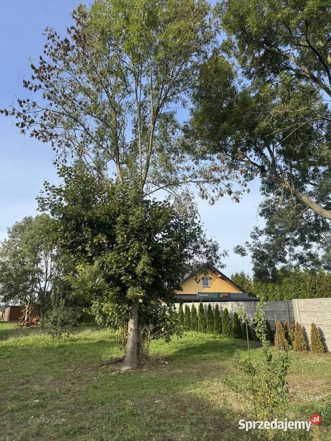 Działka bud 2300mkw 100 ogrodzona lubelskie sprzedam