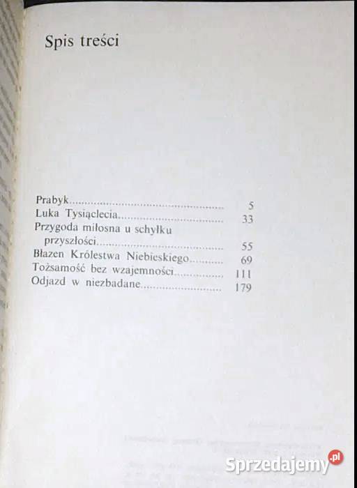 Błazen Królestwa Niebieskiego Bratny Roman Chełm