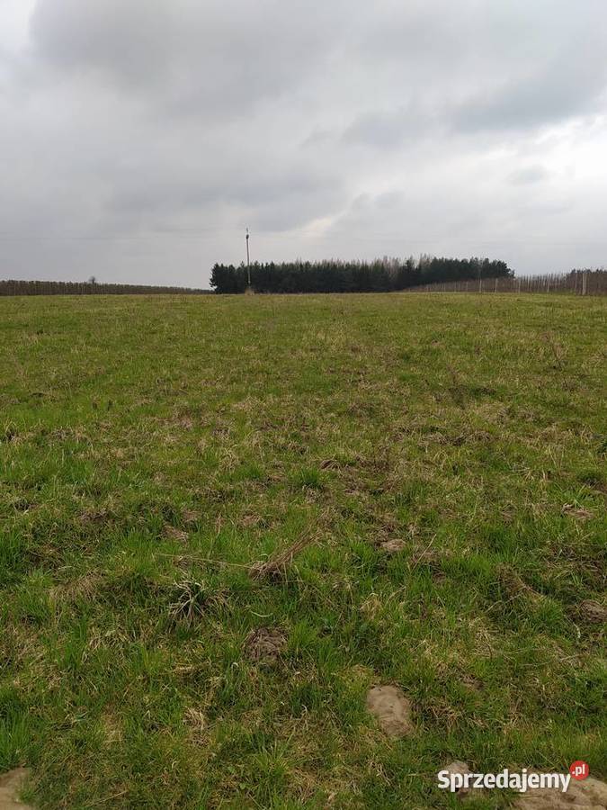 Działka Rolna Goszczyn powgrójecki 8zł/m2 sprzedam