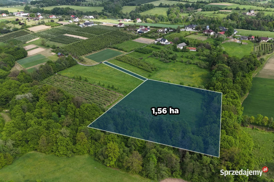 Działka rolnoleśna 156 ha Sadek Jodłownik 130m