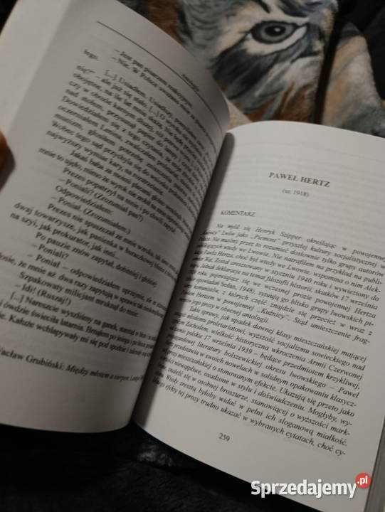 Kolaboranci Tadeusz BoyŻeleński Pozostałe wielkopolskie Poznań sprzedam