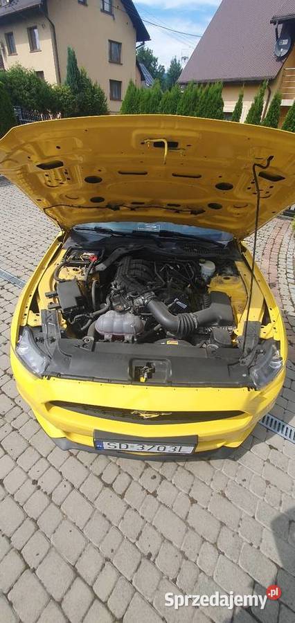 Ford Mustang 37 benzyna piękny 2015 170000km Cisiec sprzedam