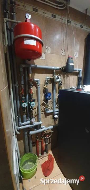 Stalmark Sas Kostrzewa Vaillant Termet piece i Milicz