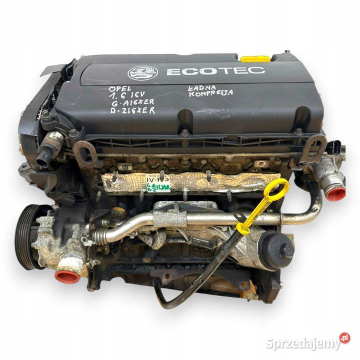 SILNIK Opel Astra IV J III H Zafira B 16 16V 115 osobowe Chełm sprzedam