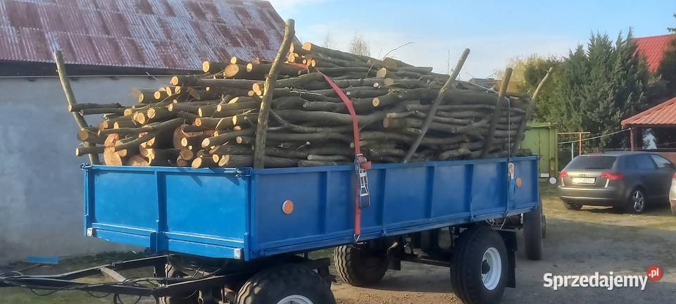 Drzewo Dąb buk cała przyczepa Skrzany sprzedam