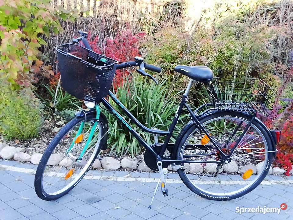 Rower miejski Damka rama 20 M koła 28 Biłgoraj sprzedam