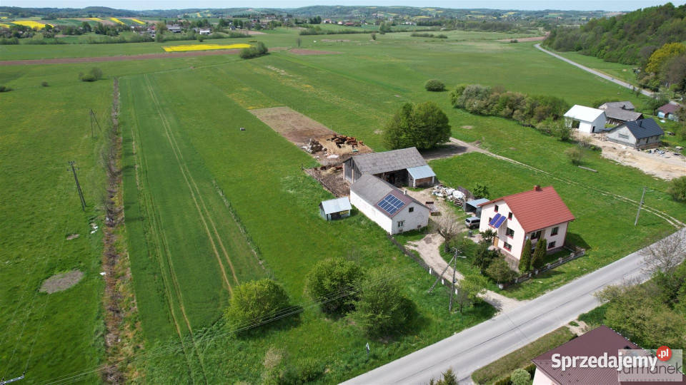 Grunt na sprzedaż 7447m2 Dzielce 9zł/m2 Sprzedaż