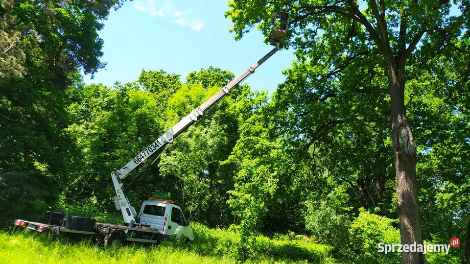 Podnośnik koszowy wynajem usługi zwyżka wycinka Wrocław