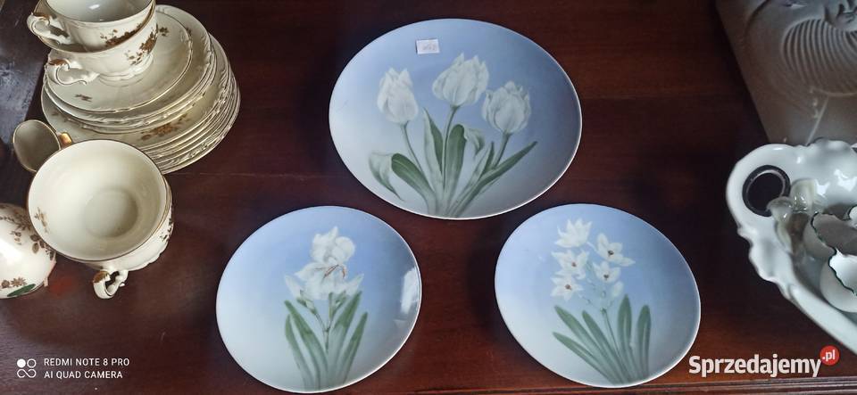 Talerz Rosenthal Sevres Sygnał Thomas Syg z Porcelana i szkło Gdańsk sprzedam