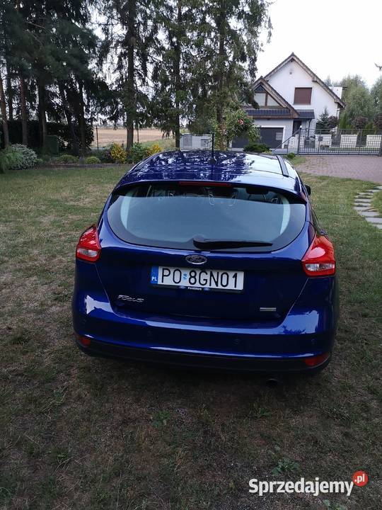 FordFocus 15 benzyna 1właściciel bezwypadkowy wielkopolskie Tarnowo Podgórne
