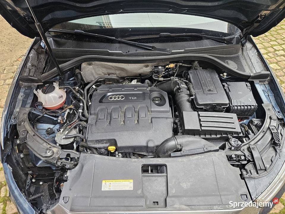 220d Quattro SLine Leyless Xenon Led Skóra Kamienna Góra