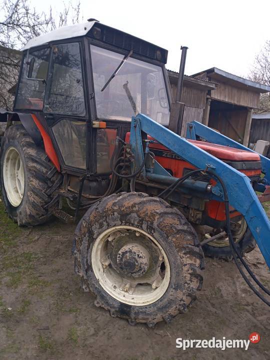 Ciognik Tomaszów Lubelski