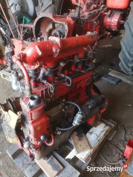 silnik mtz belarus sprzedam