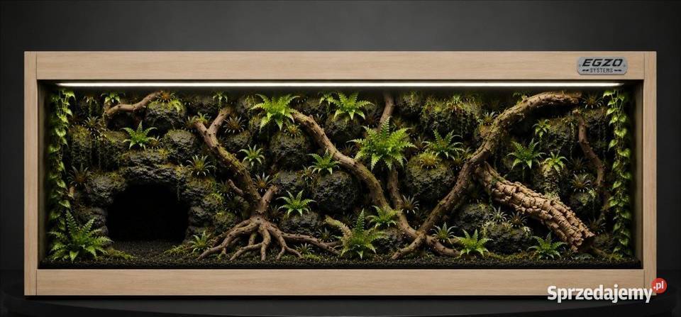 Terrarium profesjonalne gekona orzęsionego Lubin sprzedam