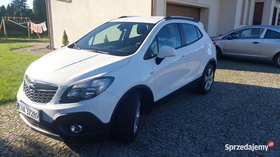 Opol mokka Nakło nad Notecią