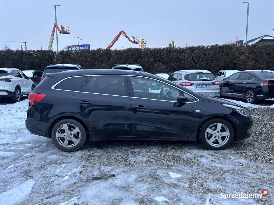 Kia Ceed Paniówki