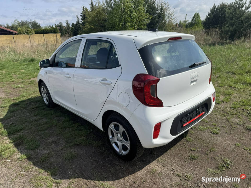 Kia Picanto 10i 67 Kia Picanto Przebieg 23860 67KM Picanto Turek