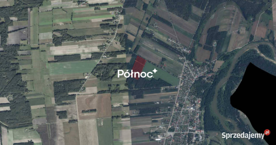 Działka leśna 447 Ha w Elżbiecinie gmina Kodeń 145m Elżbiecin