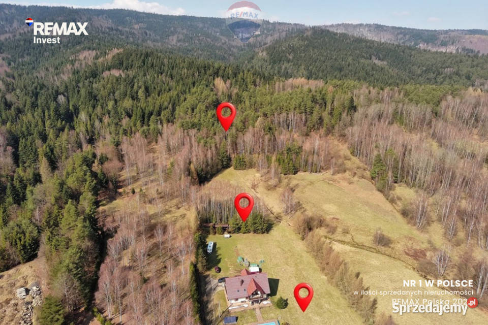 Dom słoneczny azyl z lasem i widokami Liczba pokoi 6 Sprzedaż Las