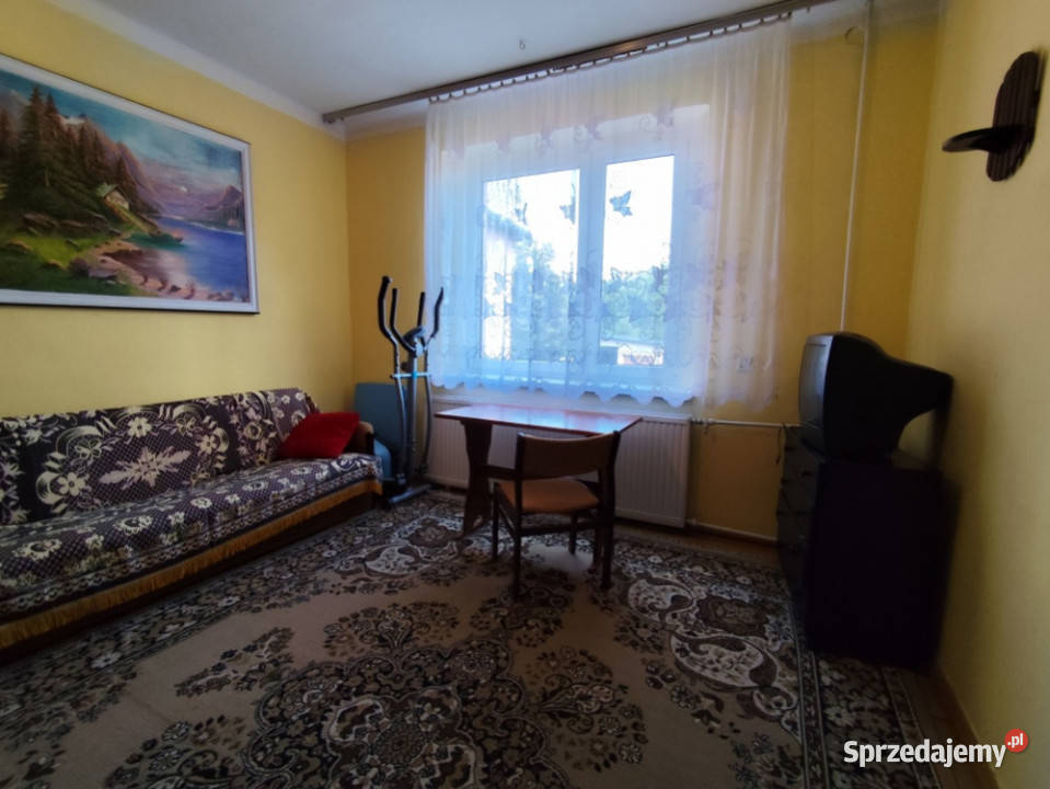 Dom z cegły z dużą działką budynki gospodarcze piwnica