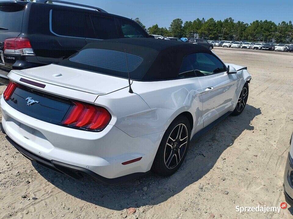 Ford Mustang 23 Ecoboost CABRIO 2020 w drodze do 310KM Żórawina